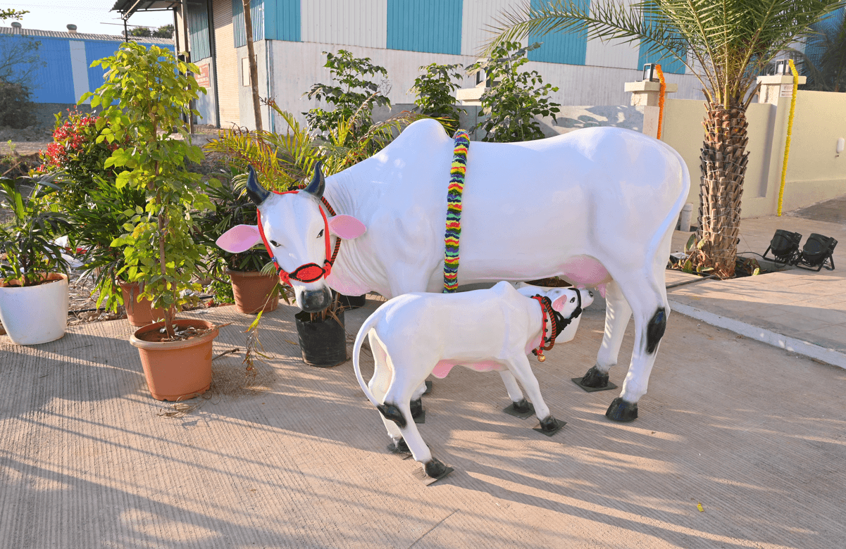 Life-size white cow and calf sculptures with decorated garlands beside potted palms at the hotel entrance